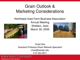 Grain Outlook &amp; Marketing Considerations