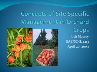 Concepts of Site Specific Management in Orchard Crops