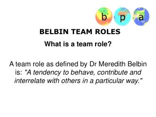belbin team roles test free pdf