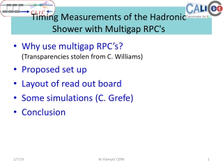 Timing Measurements of the Hadronic Shower with Multigap RPC's