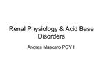 Renal Physiology Acid Base Disorders