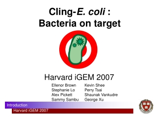 Cling- E. coli : Bacteria on target