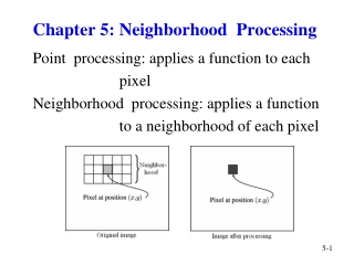 Chapter 5: Neighborhood Processing