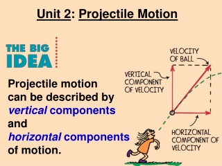 Projectile motion can be described by vertical components and horizontal components of motion.