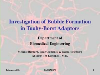 Investigation of Bubble Formation in Tuohy-Borst Adaptors