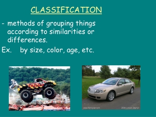 CLASSIFICATION