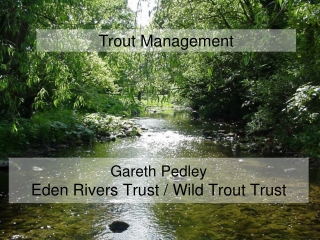 Gareth Pedley Eden Rivers Trust / Wild Trout Trust