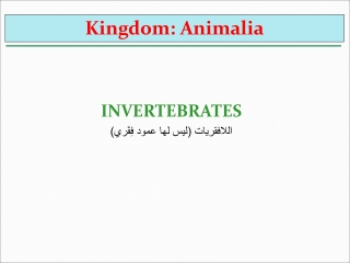 INVERTEBRATES اللافقريات (ليس لها عمود فِقَري)