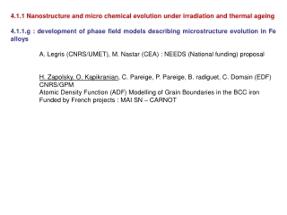 4.1.1 Nanostructure and micro chemical evolution under irradiation and thermal ageing