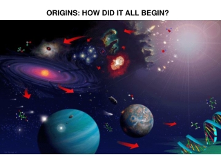 ORIGINS: HOW DID IT ALL BEGIN?