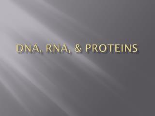 DNA, RNA, & Proteins