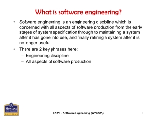 What is software engineering?