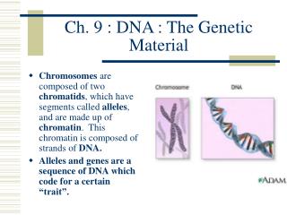 Ch. 9 : DNA : The Genetic Material