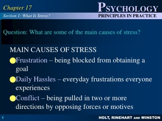 Question: What are some of the main causes of stress?