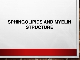 Sphingolipids and Myelin Structure