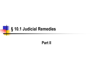 § 10.1 Judicial Remedies