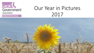 Our Year in Pictures 2017