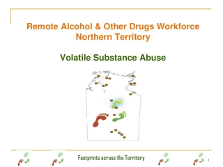 Remote Alcohol &amp; Other Drugs Workforce Northern Territory Volatile Substance Abuse