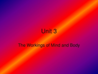 Unit 3