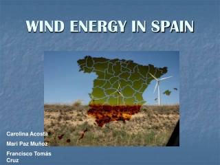 WIND ENERGY IN SPAIN