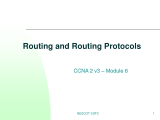 Routing and Routing Protocols