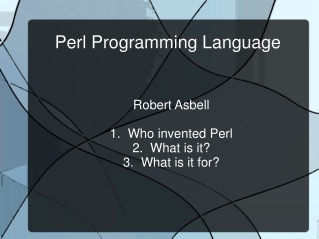 Perl Programming Language