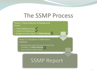 The SSMP Process