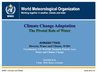 World Meteorological Organization Working together in weather, climate and water