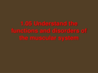 1.05 Understand the functions and disorders of the muscular system