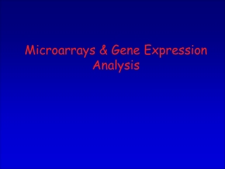 Microarrays &amp; Gene Expression Analysis