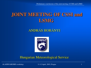 JOINT MEETING OF CSSI and LSMG