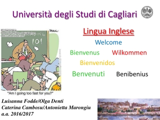 Università degli Studi di Cagliari