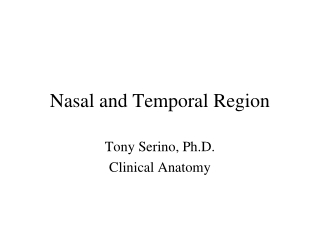 Nasal and Temporal Region