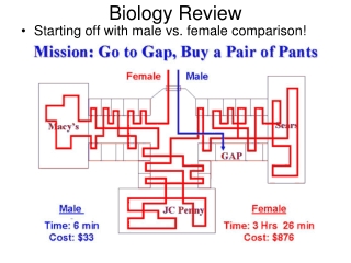 Biology Review