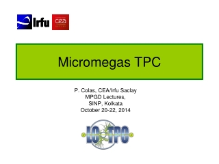 Micromegas TPC