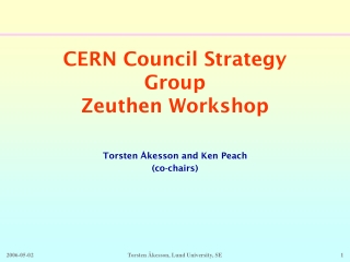 CERN Council Strategy Group Zeuthen Workshop