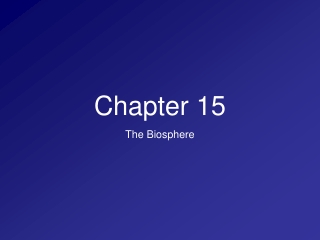 Chapter 15