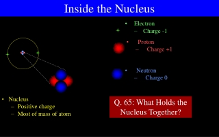 Nucleus Positive charge Most of mass of atom