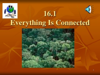 16.1 Everything Is Connected