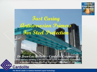 Fast Curing Anticorrosion Primers For Steel Protection