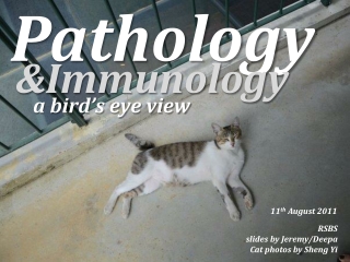 Pathology