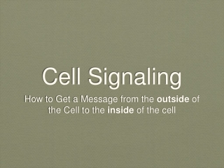 Cell Signaling