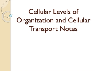 Cellular Levels of Organization and Cellular Transport Notes