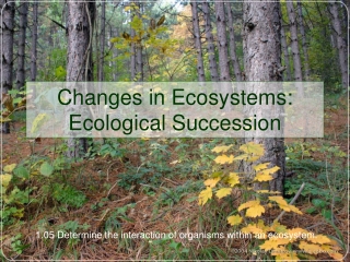 Changes in Ecosystems: Ecological Succession