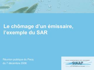 Le chômage d’un émissaire, l’exemple du SAR