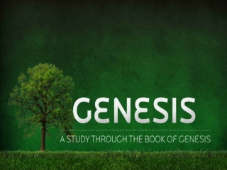 Genesis Series – Sermon 3 of 4 Abraham – Rescued from The Storm God’s Redemptive Plan