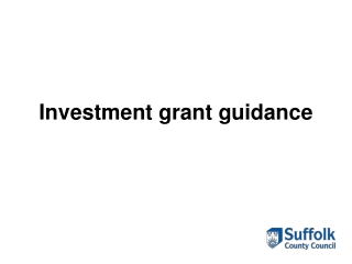 Investment grant guidance