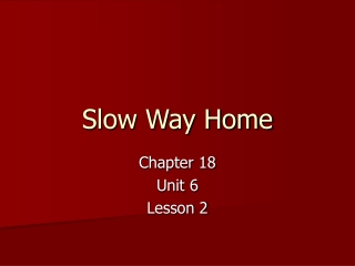 Slow Way Home