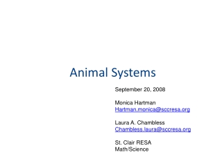 Animal Systems