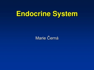 Endocrine System